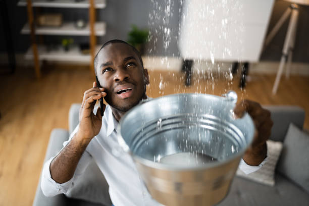 Best Flooded house restoration  in Palmview, TX