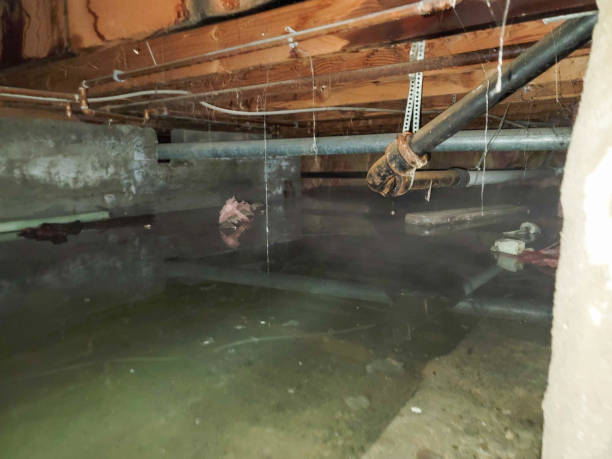 Best 24-hour water damage restoration  in Palmview, TX