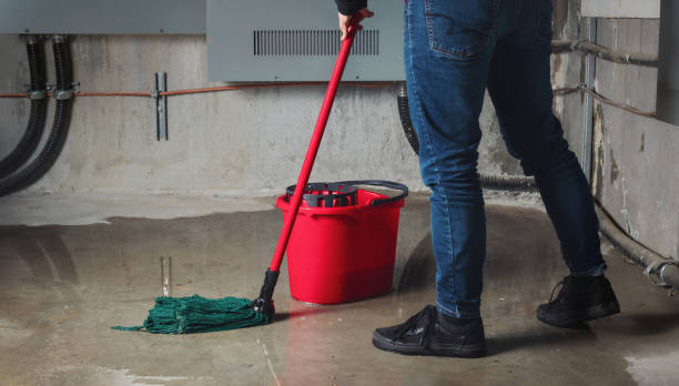 Best 24/7 water damage repair  in Palmview, TX