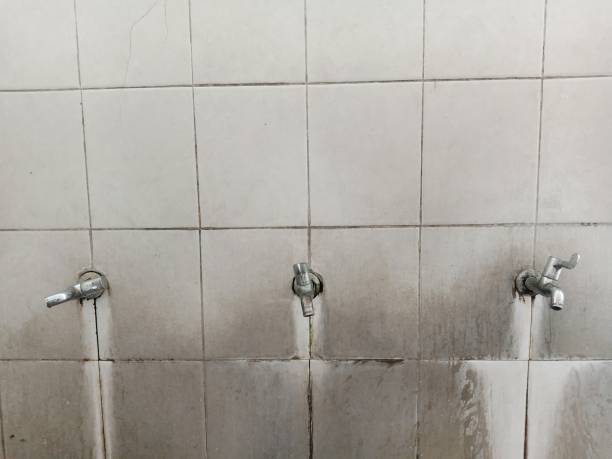 Best Carpet water damage restoration  in Palmview, TX