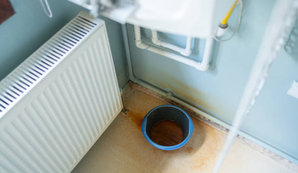 Best Water damage restoration near me  in Palmview, TX