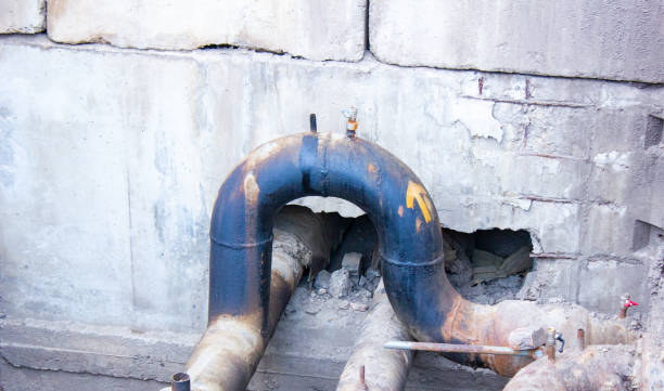 Best Flood restoration services  in Palmview, TX