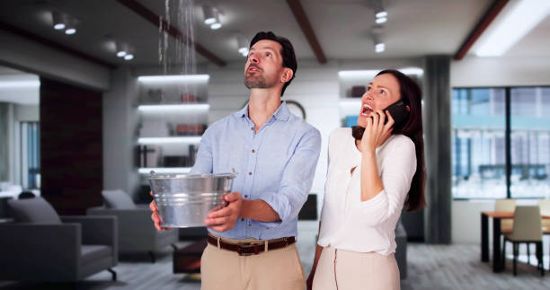 Best 24-hour water damage restoration  in Palmview, TX